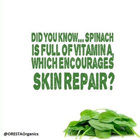 Did you know that spinach is full of Vitamin A which encourages skin ...