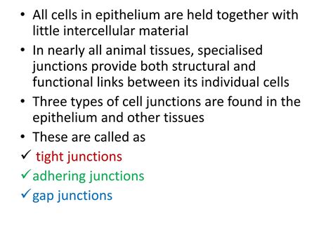 Animal tissue | PPT