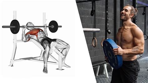 5 Fantastic Benefits of The Incline Barbell Press (Build Chest Muscle ...