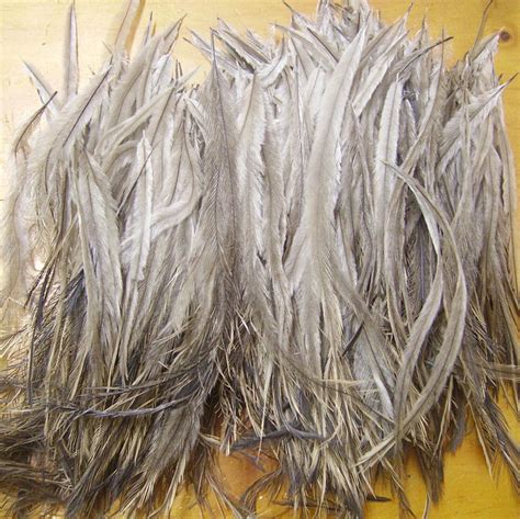 Emu feathers natural long Bulk by karenrichards on Etsy