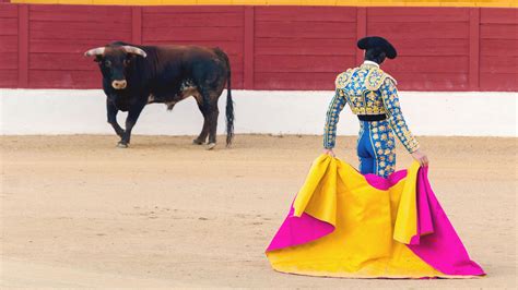 Las corridas de toros: un curioso festejo de la tradición española