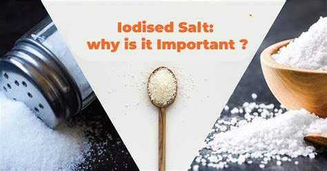 IODISED SALT: WHY IS IT IMPORTANT? | Health click away