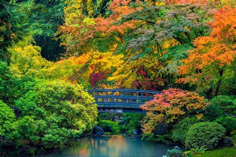 Connections | Portland Japanese Garden | Portland, Oregon | Scott Smorra