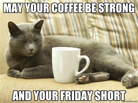 70 Funniest Friday Memes and Best TGIF Meme for the Weekend | Friday cat, Happy friday meme ...
