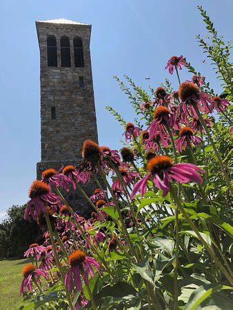 Luray Singing Tower - 2019 All You Need to Know BEFORE You Go (with Photos) - TripAdvisor