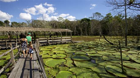 Manaus, Brazil: Best things to do when visiting | CNN