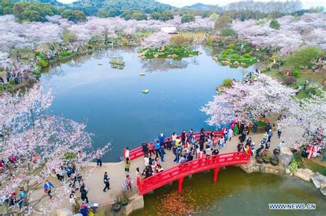 Hubei reopens over 60% of its major attractions | The Star