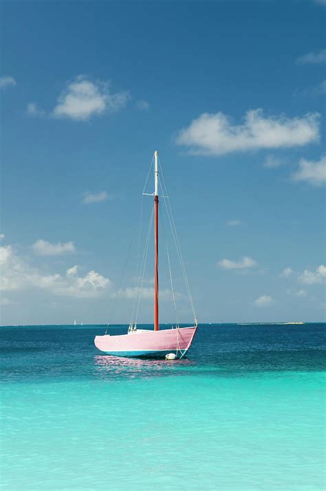 Anchoring Pink Boat In Tropical Bay by Digihelion