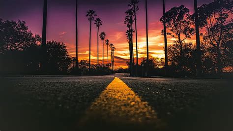 HD wallpaper: Los Angeles, California, road, palms, sunset, 4K | Wallpaper Flare