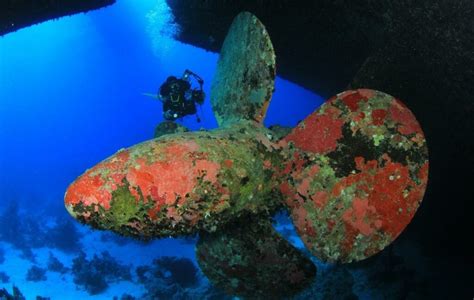 Wreck Diving | How to Start Exploring Sunken Wrecks?