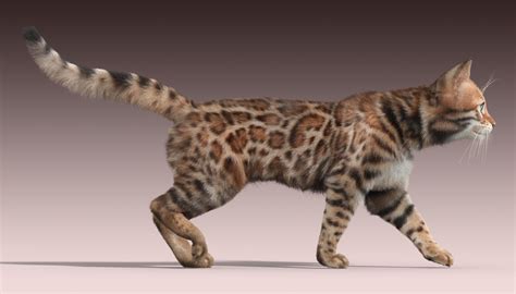 bengal cat fur 3d max