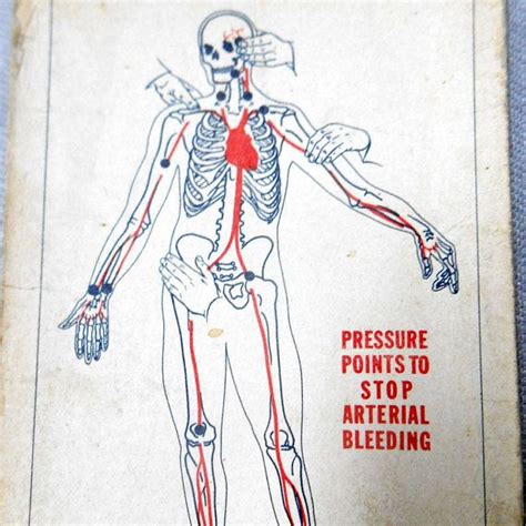 Vintage 70s Pressure Points to Stop Arterial Bleeding pocket card CPR ...