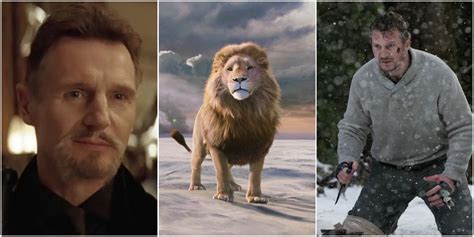 10 Best Liam Neeson Roles That Aren't Oskar Schindler