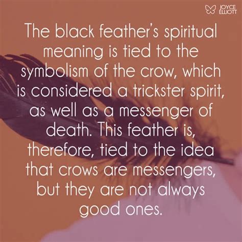 Black Feather Meaning: 9 Symbols Of Inner Strength To Change - Joyce ...