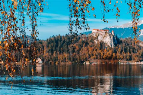 Lake Bled in the Alpine mountains 2168089 Stock Photo at Vecteezy