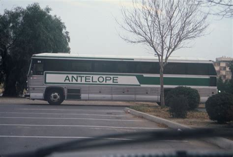 090909-R1-86-87 | Antelope Valley Bus Lines, San Bernadino C… | roxbsox | Flickr