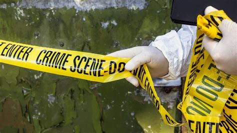 The 9 Best Online Bachelor of Crime Scene Investigation Degrees ...