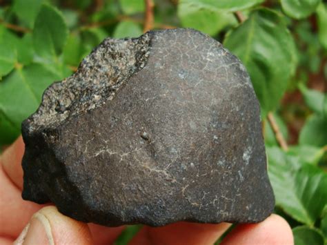 West-Texas-Meteorite-Collection