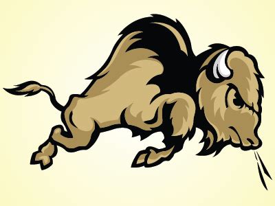 Colorado Buffaloes by Rene Sanchez on Dribbble