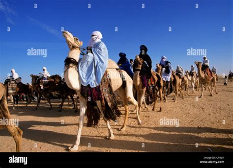 Tunisia, Kebili Governorate, Douz, Desert Festival, Tuaregs on their Stock Photo, Royalty Free ...