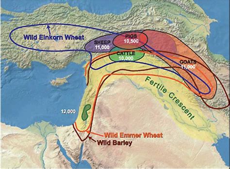 Overlap between Domesticated Animals and Agriculture in the Fertile ...