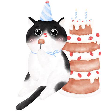 Birthday Cat Funny