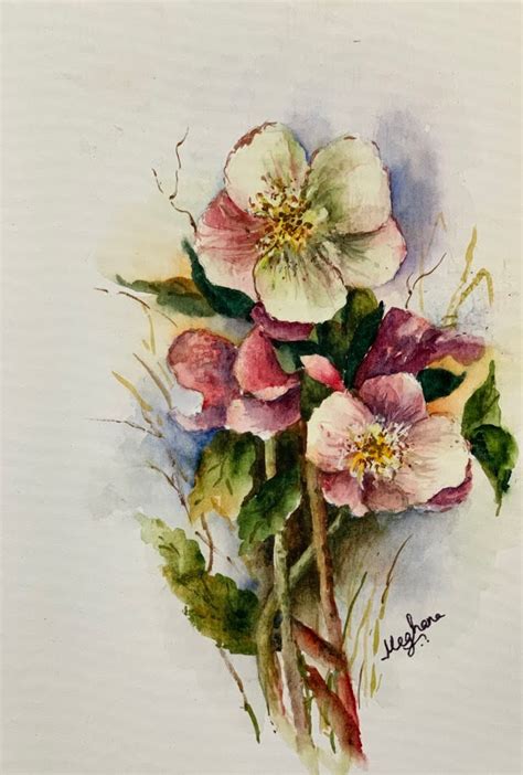 Hellebores 1