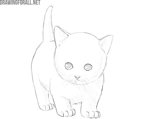 How To Draw A Cute Kitten