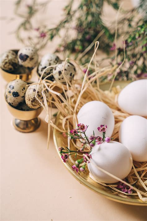 Chicken Eggs Photos, Download The BEST Free Chicken Eggs Stock Photos ...