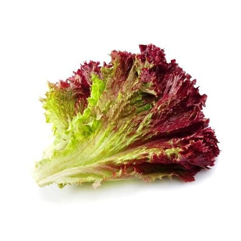 9 Different Types Of Lettuce & What Dishes They're Best For