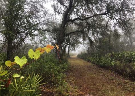 Lake Louisa State Park: 7 reasons to explore lovely wild spot