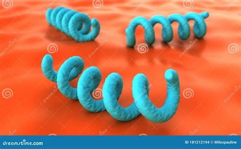 Treponema Pallidum Under a Microscope. Bacterium Which Causes Syphilis ...