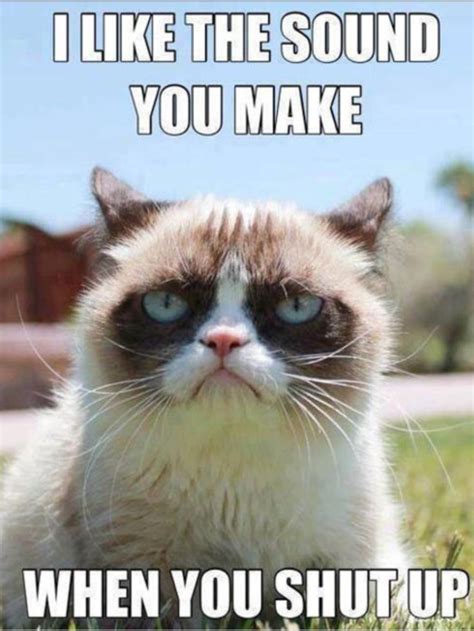 Top 20 Grumpy Cat Memes | Grumpy cat quotes, Grumpy cat humor, Grumpy cat meme