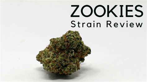 Zookies Cannabis Strain Information & Review – ISMOKE