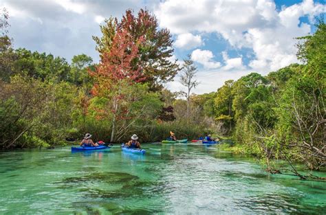 The Weeki Wachee River | Florida Paddle Notes