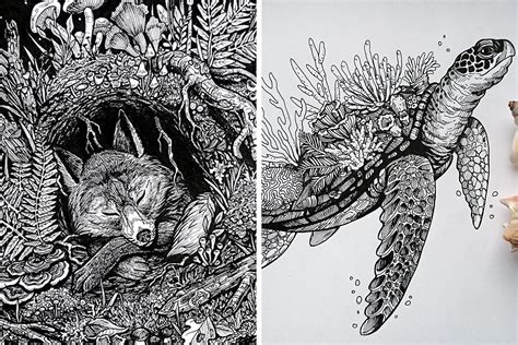 30 Intricate Drawings Of Animals Created By Me | Bored Panda