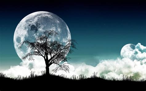 🔥 Free download Moonlight Night hd Wallpapers [1280x781] for your ...