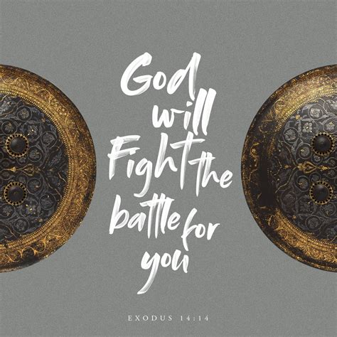 Exodus 14:14 The LORD will fight for you; you need only to be still.” | New International ...