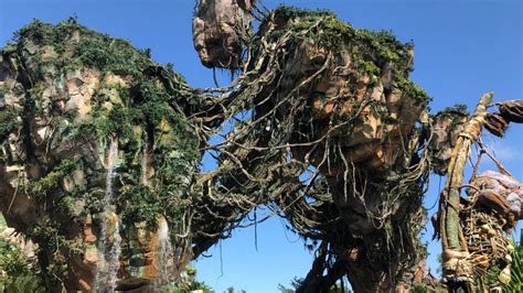 Pandora marks 5 years at Disney's Animal Kingdom