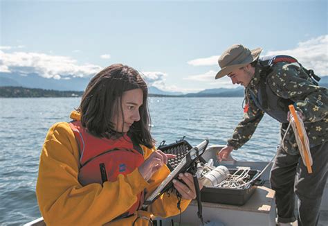 Lake Windermere home inspection - Columbia Valley Pioneer