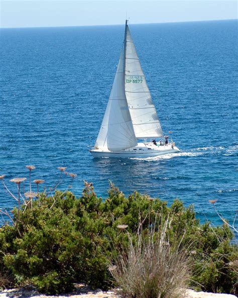 Sea And Sailing Boat Free Stock Photo - Public Domain Pictures