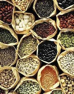 Vegetable Seeds - Native Organic Vegetable Seeds Manufacturer from Chennai