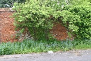 crinkle crankle wall | Old School Garden