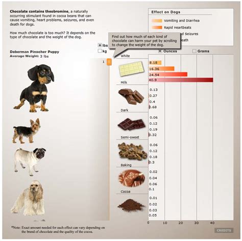 Chocolate Poisioning in Dogs: Theobromine & toxicity levels