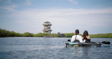 Robinson Preserve, FL Clear Kayak Tours | Get Up and Go Kayaking