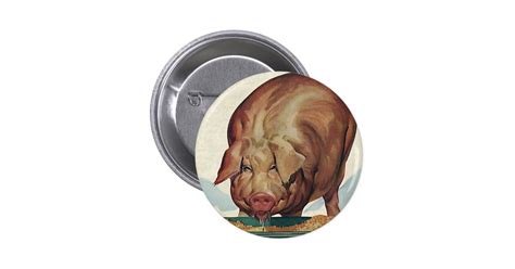 Vintage Farm Animals, Pig Eating Slop at a Trough Pinback Button | Zazzle