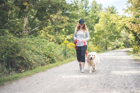 Leash laws to be enforced in Conservation Areas - Hamilton Conservation ...