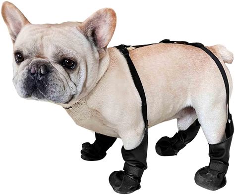 Amazon.com : Dog Suspender Boots, Suspender Dog Boots Waterproof, Dog ...