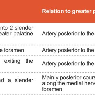 Anatomical variations in the branching of the greater palatine nerve ...