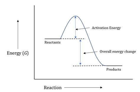 What is a free energy reaction coordinate diagram? | Quizlet